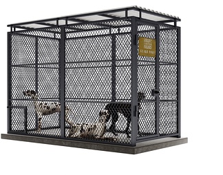 动物笼子,狗,铁笼子