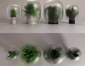 花瓶装饰绿植