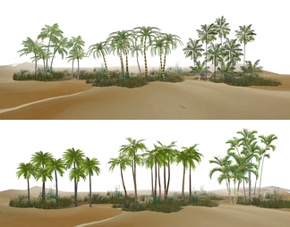 棕榈树热带植物植物团组