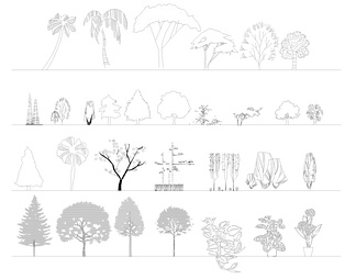 园林立面植物及平面图例