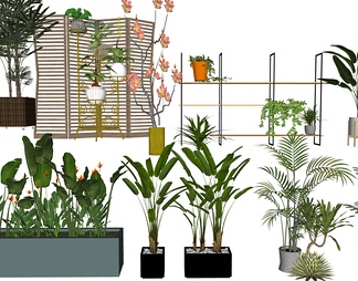 室内绿植、盆栽、景观植物、装饰花架、盆栽盆景