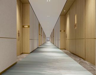 酒店电梯厅及走道