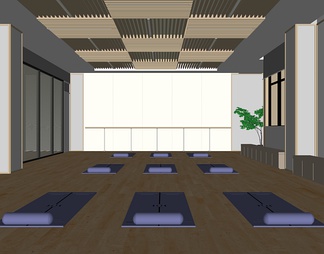 瑜伽室，娱乐健身房