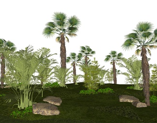 棕榈树群组景观