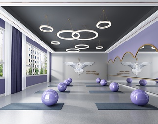 瑜伽室健身房