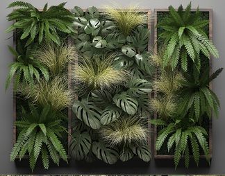绿植墙，植物墙
