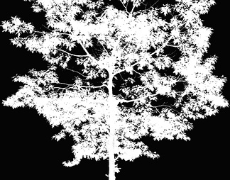树影黑白贴图
