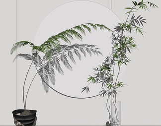 水生植物