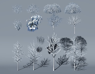 树，雪景冬季植物树