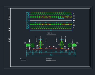 道路绿化标准平面及横断面图