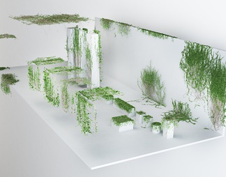 爬墙植物绿植物墙