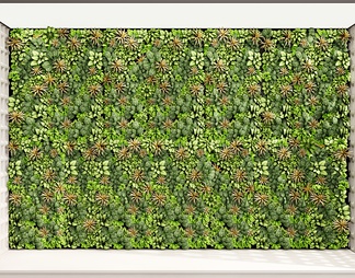 绿植墙 植物墙 植物组合