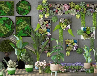 植物墙，植物，盆栽，植物装饰画，多肉墙
