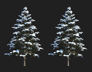 树 雪景树 冬天树