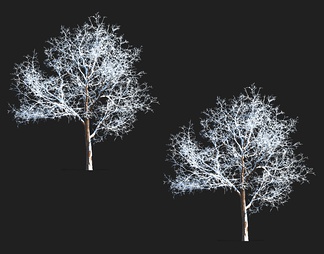冰雪树