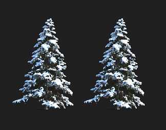 树 冬天树 雪景树