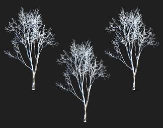 冰雪树