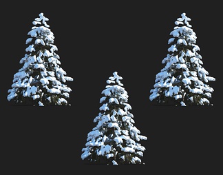 雪送 雪景树 冬天树