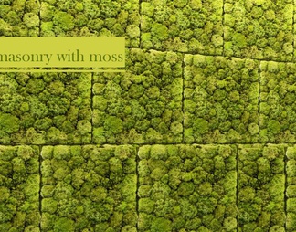 苔藓植物墙 绿植墙