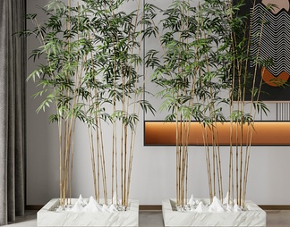 竹子绿植盆栽