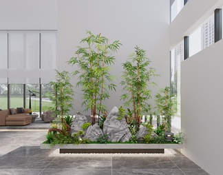 室内景观植物
