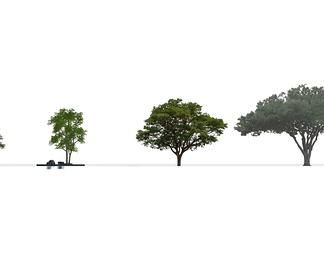 2D景观树