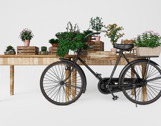盆栽 盆栽架 单车 自行车