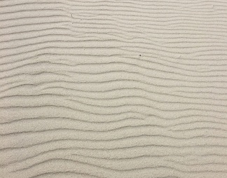 沙子 沙滩 海滩