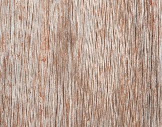 木材 木纹 纹理 树皮贴图库贴图下载【ID:1343036】