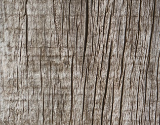 木板 地板 旧木板 树皮