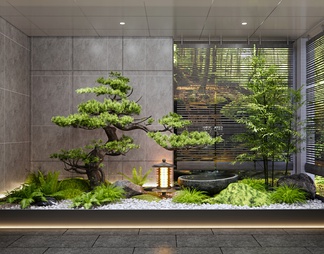 室内景观造景 禅意庭院景观小品 水钵 造型松树 植物景观 竹子 蕨类植物