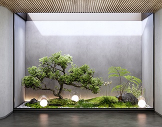 室内植物造景 植物堆 苔藓 蕨类植物 石头 造型景观树