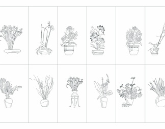 精选室内植物CAD立面图
