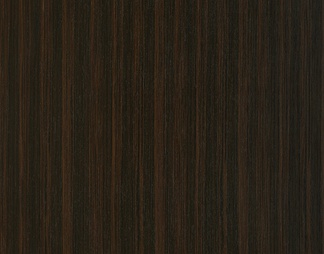 K6209AB黑檀木钢刷-2