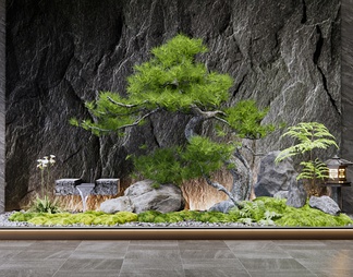 室内景观造景 庭院小品 流水松树 水钵 植物景观 石头 景观石 石灯 石头背景墙