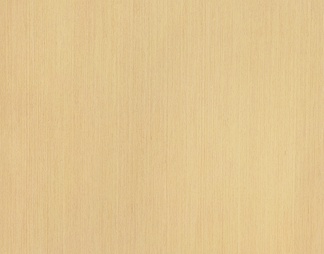 科定 天然木皮K6204_白橡木