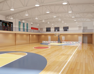 篮球场 学校运动室