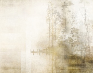 森林壁纸浓雾