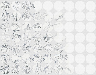 白色植物壁纸