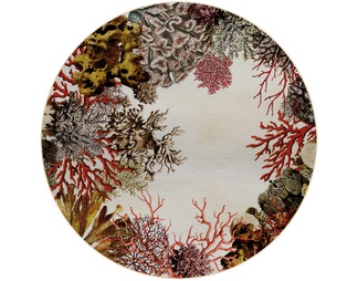 珊瑚圆毯