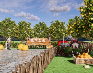 橘子公园景观 橙子采摘园 亲子农场 柑橘林 农业种植林 橘子果园 拖拉机
