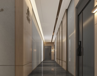 电梯间 公区 入户走廊