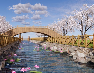 滨水湿地公园景观 河道景观 溪流河流 河岸驳岸 木桥 荷花睡莲 樱花