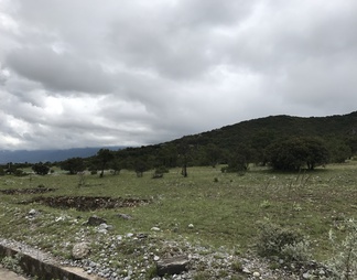 户外风景