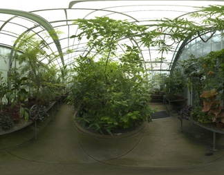 温室 植物HDR贴图
