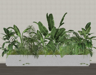 绿植花箱 室内植物造景 植物组合 植物堆 花池花坛