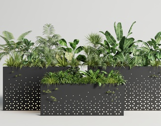 植物盆栽组合 移动花箱 植物花箱 绿植