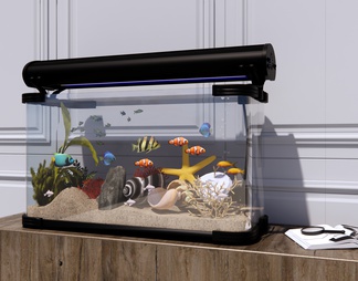 玻璃鱼缸 水族馆 草缸 水族缸 水草 热带鱼 观赏鱼
