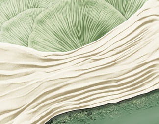 绿色系纹理侘寂风装饰画贴图