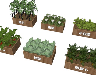 蔬菜种植箱 社区菜园 蔬菜组合 一米菜园 菜箱 茄子 花菜 胡萝卜 白菜